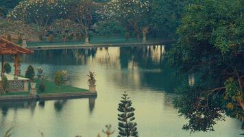 Tranquil Lake Surrounded by Lush Greenery video