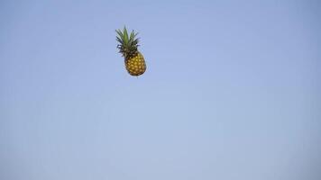 Girl throws a pineapple into the air in slow motion video