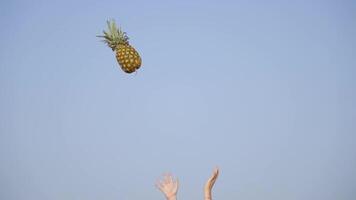 Girl throws a pineapple into the air in slow motion video