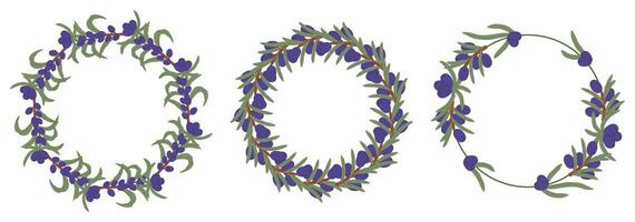 Circular frames decorated with olive branches and berries, creating a natural and elegant design vector