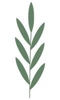 Green leaf flat icon isolated on white background. vector