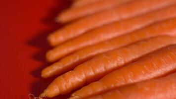 Carrots in a row on red background video