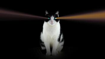 Cat with eyes with ray of light on a black background video