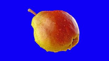 Ripe pear rotates on blue background for chroma key video