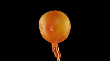 Juice flows from the round grapefruit on a black background video