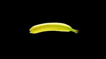Banana wet by drops of water rotates on isolated black background video