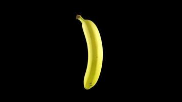 Yellow banana rotates on a black background video