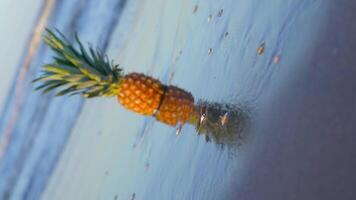 Pineapple placed on the wet beach with beautiful reflections video