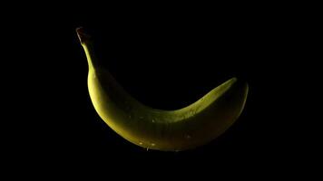 Poorly lit banana wet by water on a black background video