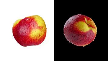 Two apples on a black and white background video