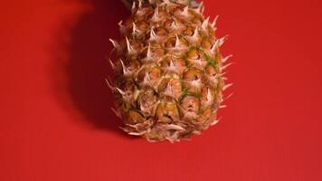 Pineapple resting on red surface video
