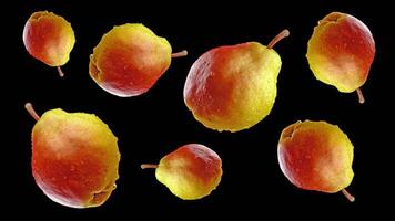 Ripe pears rotate on a black background video