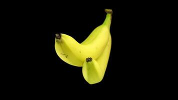 Two yellow bananas rotate on a black background video