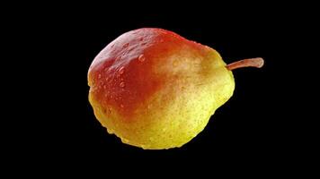 Tasty pear rotates on black background video
