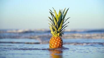 Pineapple is immersed by the sea wave in slow motion video