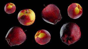 Red apples on a black background video