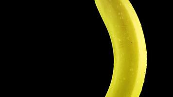 Banana wet with water on a black background video