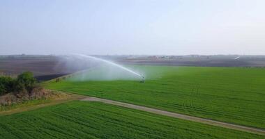 A jet of water is sprayed on the green field video