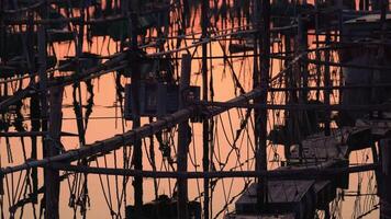 Containers with fish hanging on poles in the water video