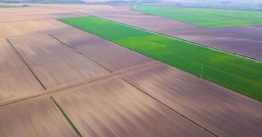 Green and gray fields seen from above video