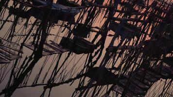 Containers with fish hanging on poles in the water video