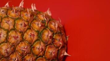Pineapple resting on red surface video