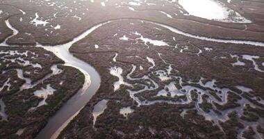Bottom of a pond without water and abstract curves of the terrain video