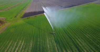 A jet of water is sprayed on the green field video