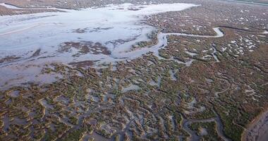 Bottom of a pond without water and abstract curves of the terrain video