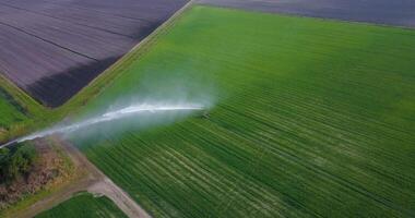 A jet of water is sprayed on the green field video