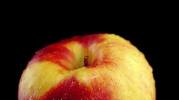 Rotation around the red and yellow apple on a black background video