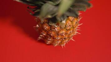 Pineapple close up placed on red background video