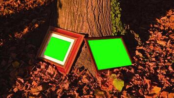 Wooden photo frames with chromakey leaning on tree trunk video