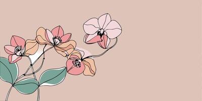 Orchid flowers on pink background with space for text vector
