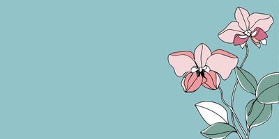 Orchid flowers on blue background with space for text vector
