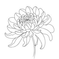 Chrysanthemum flower outline coloring book page line art drawing vector