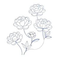 Peony flower outline coloring book page line art vector