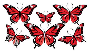 a set of red and black butterflies vector