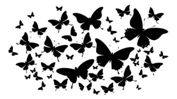 a large group of butterflies are flying in a circle vector