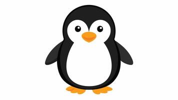 a penguin is standing on a white background vector