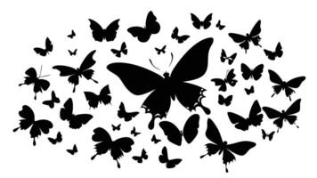 butterflies are flying in a circle on a white background vector