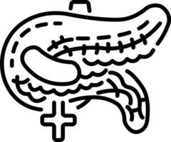 Pancreas icon in linear style vector