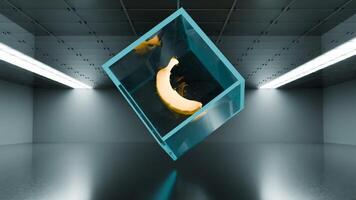 Dynamic kaleidoscope of bananas spinning in a modern art gallery video