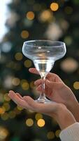 Cheers to the Holidays Join Us in Celebrating with a Delightfully Festive Drink This Season video