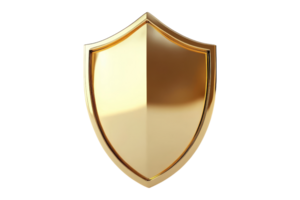 Secure your digital assets understanding online protection strategies virtual space infographic educational cybersecurity focus png