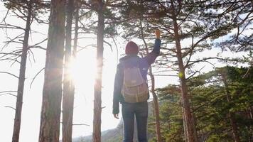Young woman tourist with backpack on hill, rejoices in victory. traveler at top of a mountain in sun, raising her hand in the air, happy and intoxicated with life, youth, happiness. video