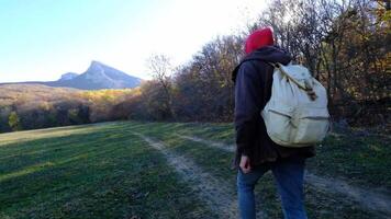 hipster man is enjoying nature, walking alone in sunny forest at autumn day, backpacker is exploring area, hiking and relaxing video