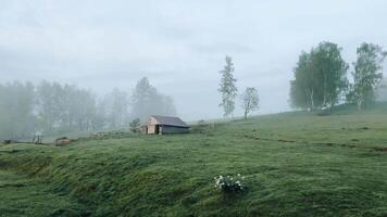 Foggy farm early in the morning in spring, lonely hut and forest video