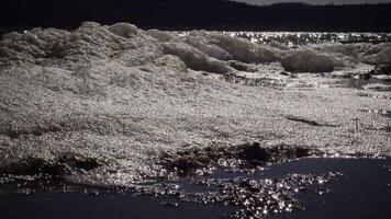 Dirty foam on the water and the seashore, eutrophication, pollution of the reservoir, ecological problem, the Black Sea Tyligul aestuary video