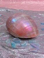Iridescent seashell and stones on sparkling pink background photo